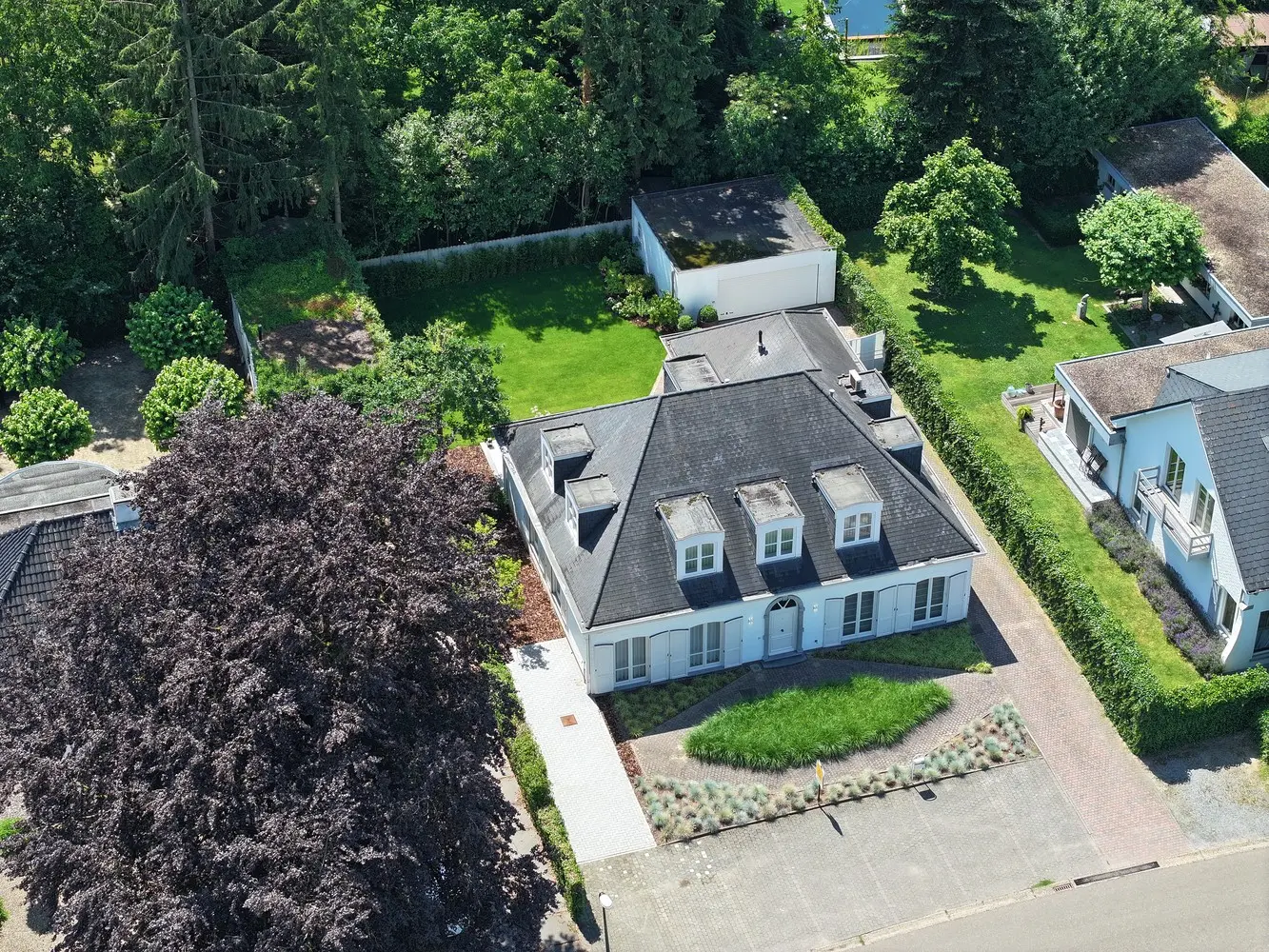 3746003319000049147_dji_fly_20260611_153944_0263_1782394849968_photo.JPG