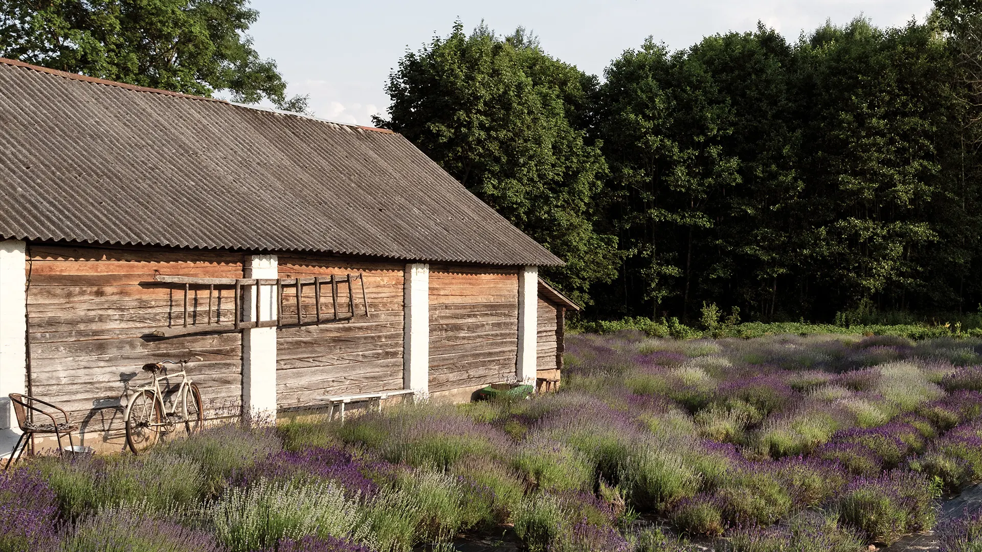High-end schuur in een tuin in Maaseik