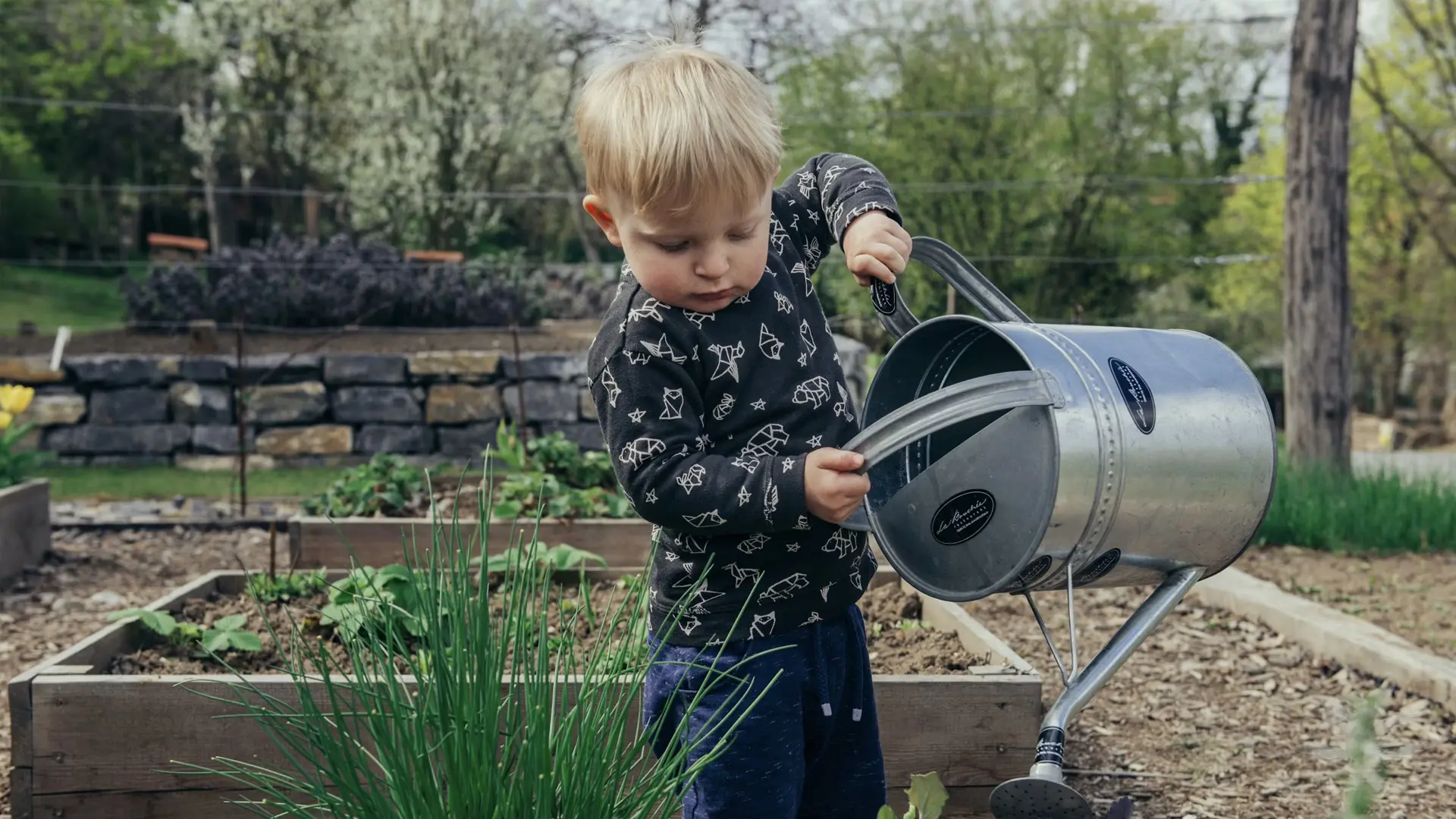 Kleine jongen water planten in gemeenschappelijke tuin.