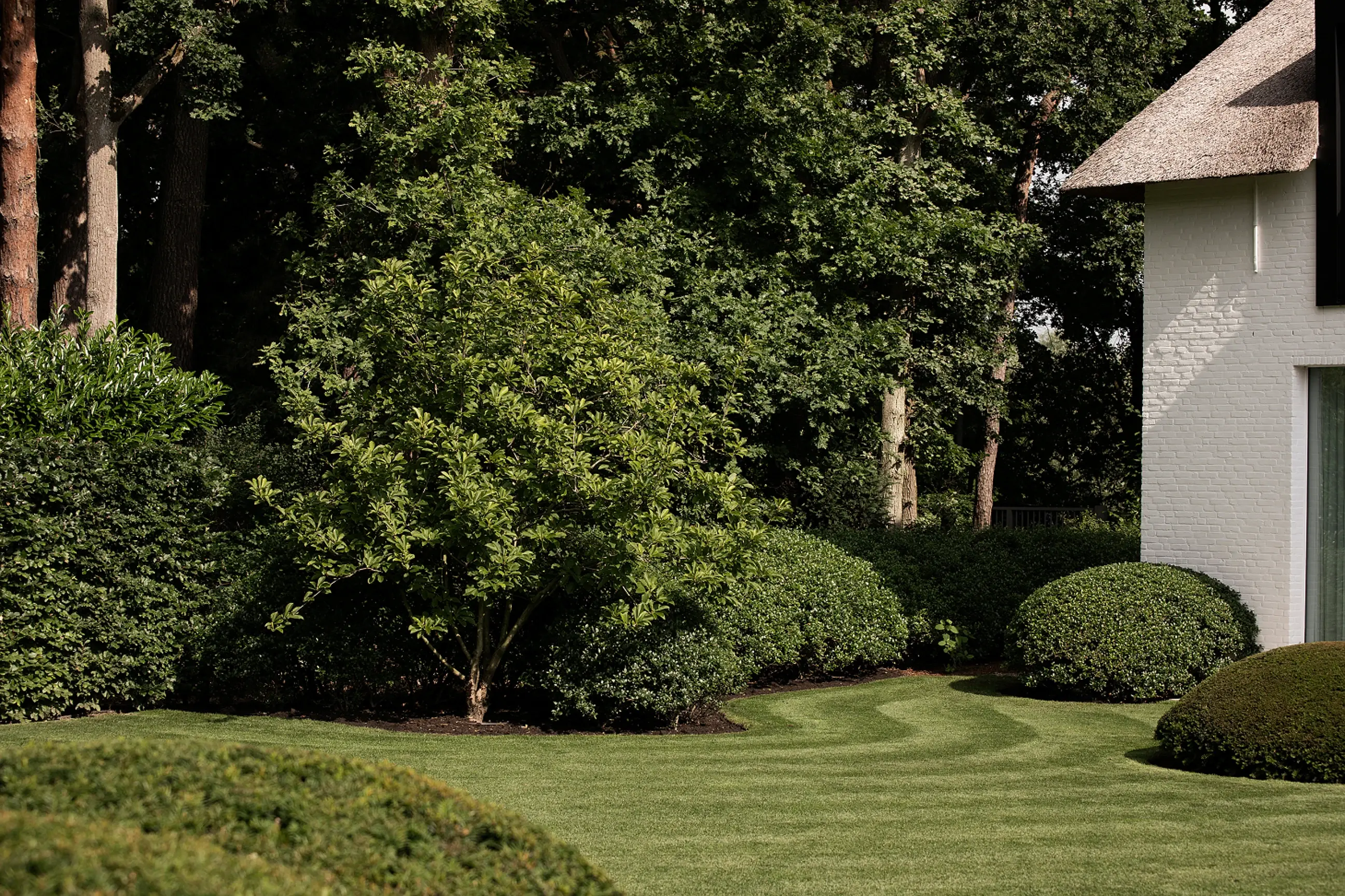 image-section-image-2