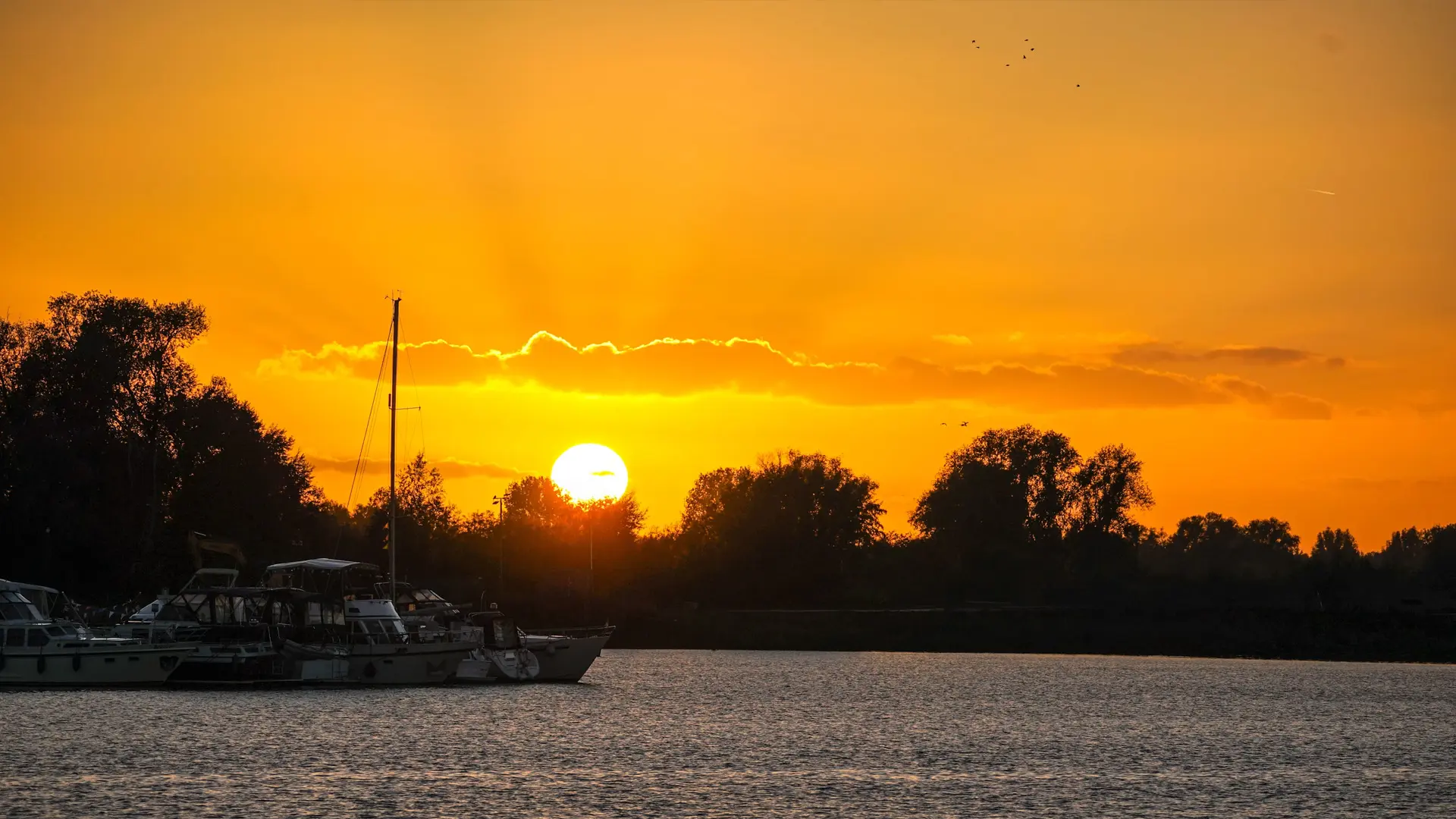 ondergaande zon aan de maas, silhouette van de boten zichtbaar